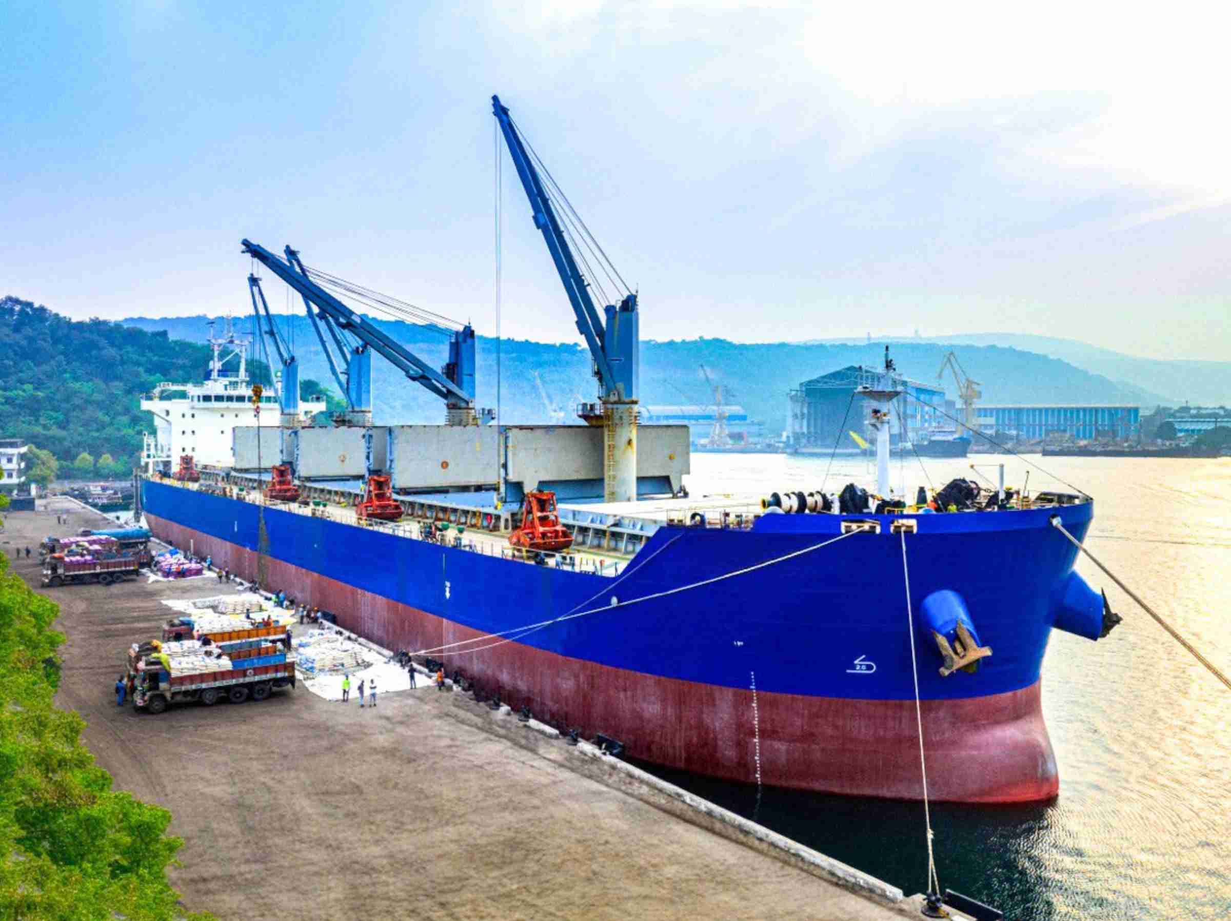 VPA handles record rice